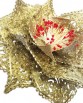 3D-Opulence-flower2--WEB