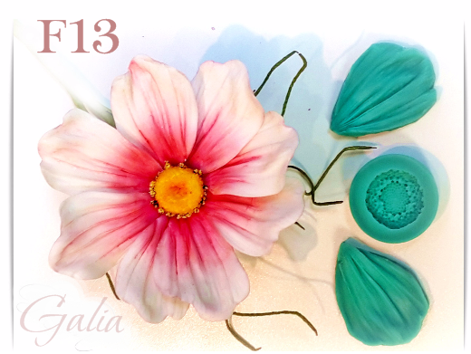 FLOARE F13 FLOARE F13