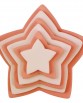 PNS5_2