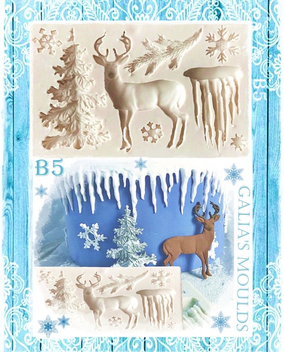 В5 (1)
